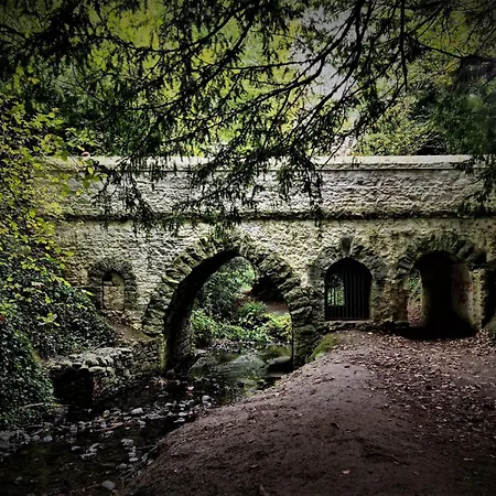 Stylish Own Entrance In Victorian House Appartamento