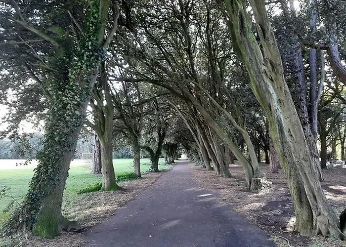 Stylish Own Entrance In Victorian House * Dublin